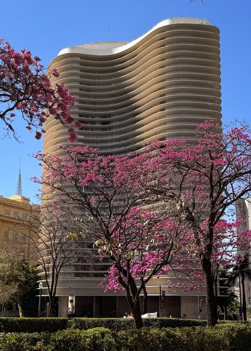 Edifício Niemeyer