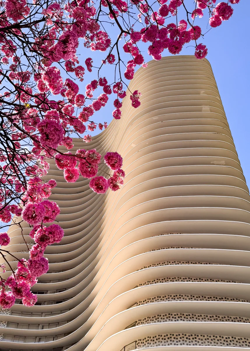 Edifício Niemeyer